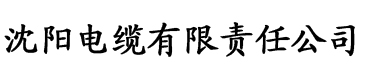 美剧侠视频电缆厂logo